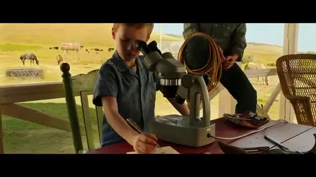 The Young and Prodigious T.S. Spivet Scene 1