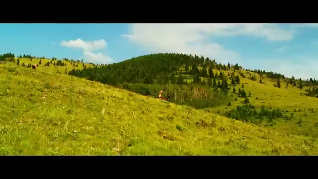 The Young and Prodigious T.S. Spivet Scene 2