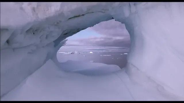 Where'd You Go, Bernadette Scene 5