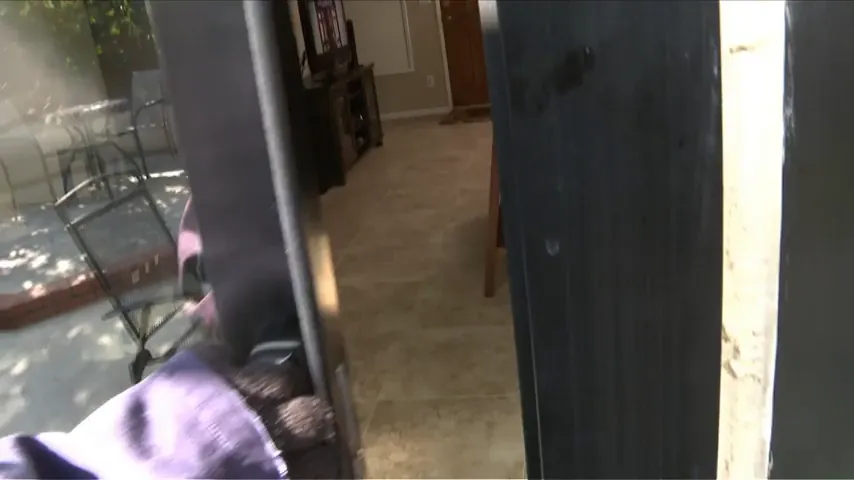 The Den Scene 4