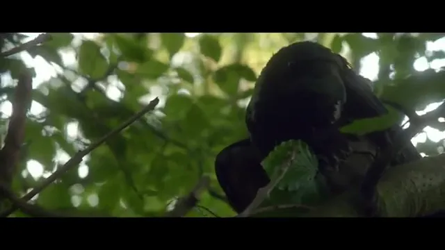 The Survivalist Scene 2