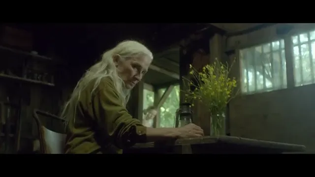 The Survivalist Scene 4