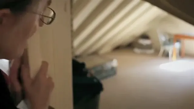 Finding Vivian Maier Scene 2