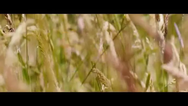 Far from the Madding Crowd Scene 1