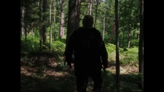 In a Violent Nature Scene 1
