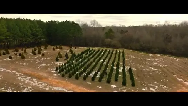 Our Little Secret Scene 2