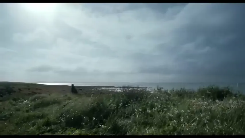 The Bookshop Scene 3