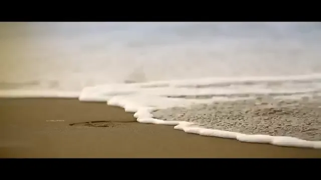 Cowspiracy: The Sustainability Secret Scene 5