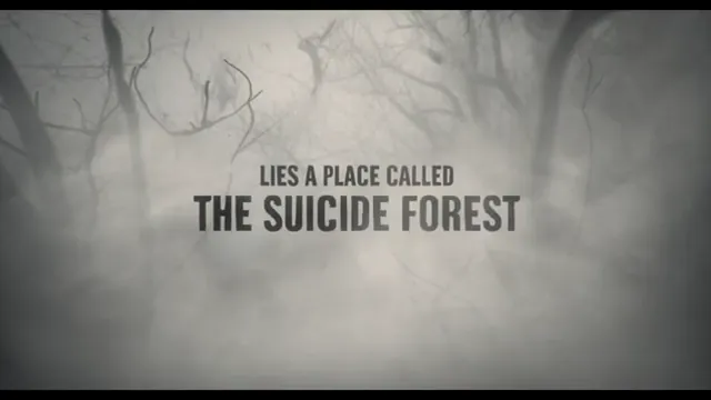 The Forest Scene 2