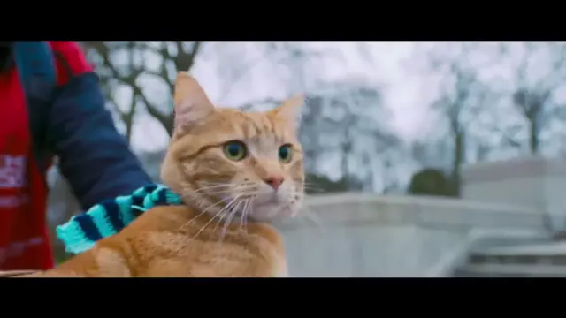 A Street Cat Named Bob Scene 5
