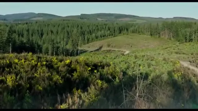 Leave No Trace Scene 5