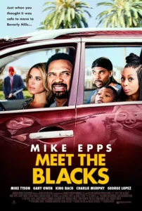 Meet the Blacks Movie Poster