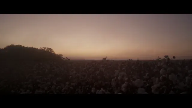 The Birth of a Nation Scene 3