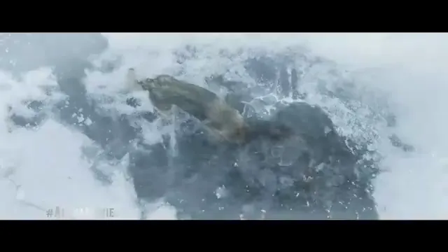 Alpha Scene 5