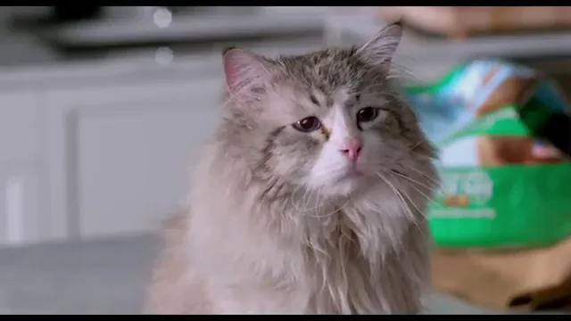 Nine Lives Scene 3