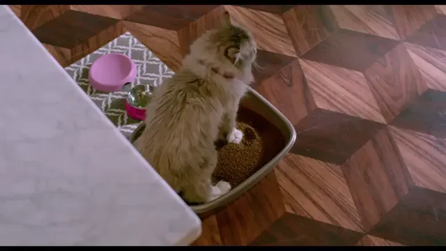 Nine Lives Scene 5