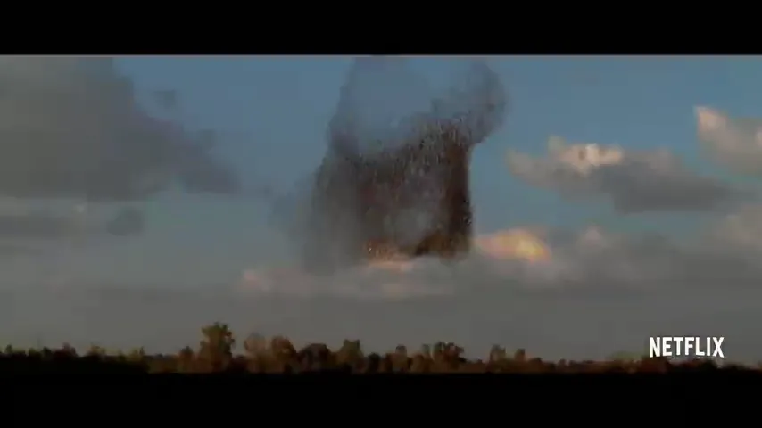 The Starling Scene 5