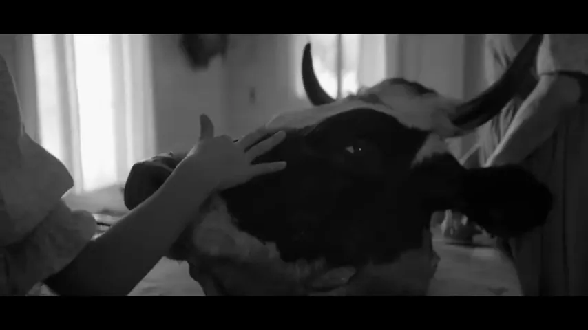 The Eyes of My Mother Scene 1