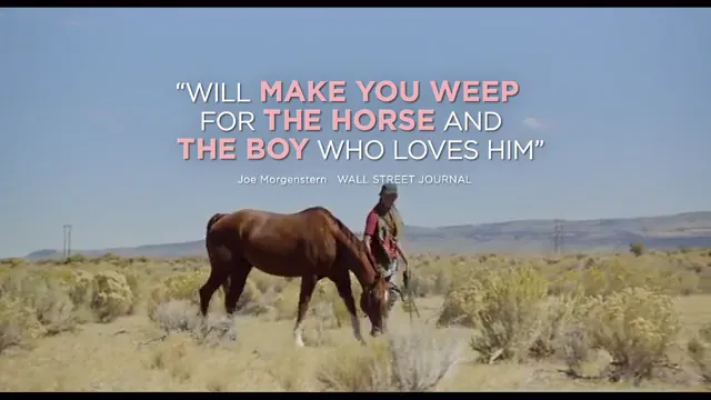 Lean on Pete Scene 4