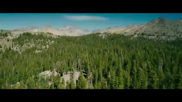 Traffik Scene 1