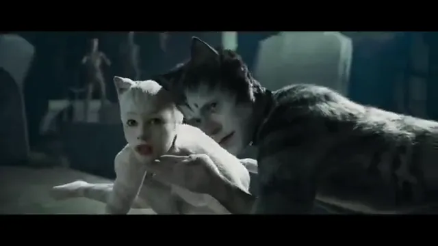 Cats Scene 5