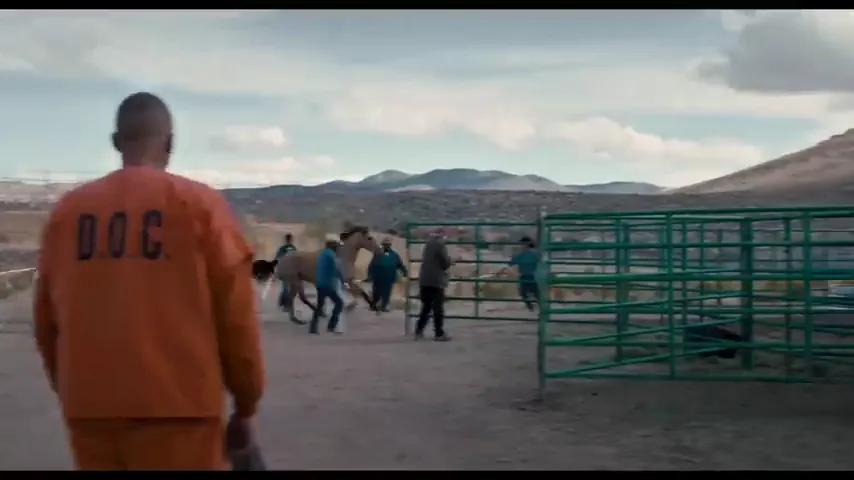 The Mustang Scene 2