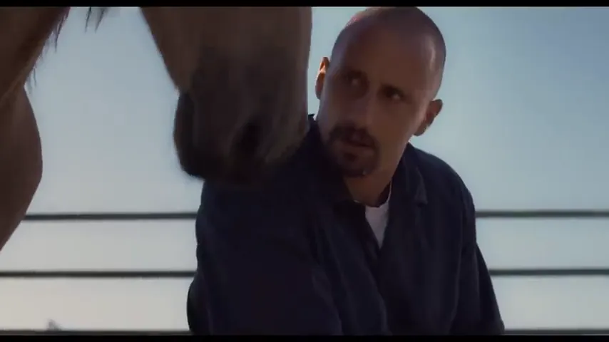 The Mustang Scene 4