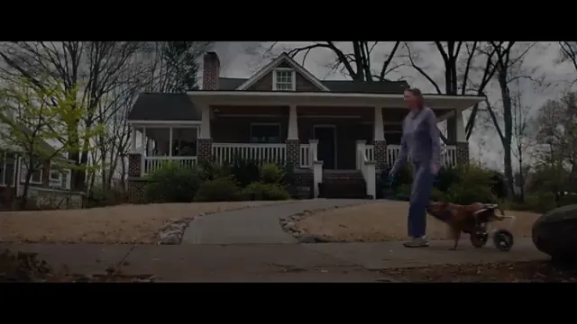 American Animals Scene 3