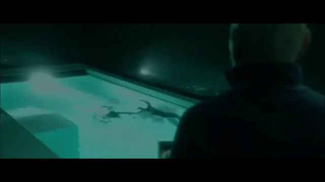 Night Hunter Scene 5