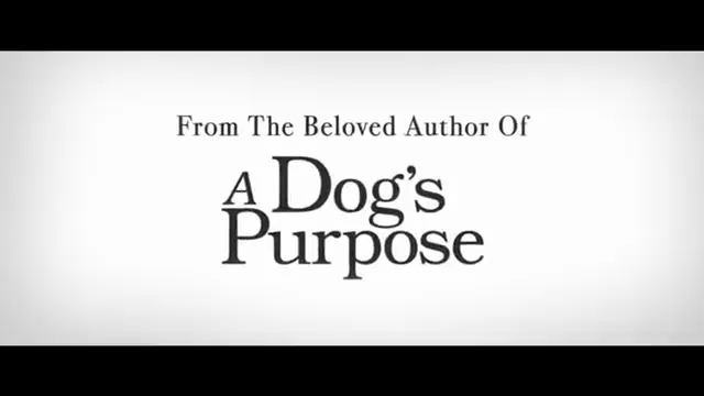 A Dog's Way Home Scene 1