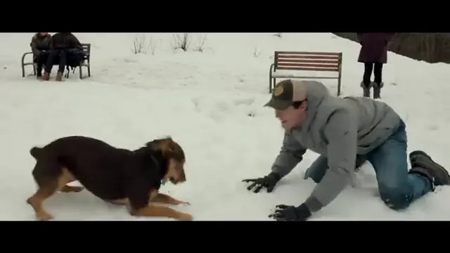 A Dog's Way Home Scene 2