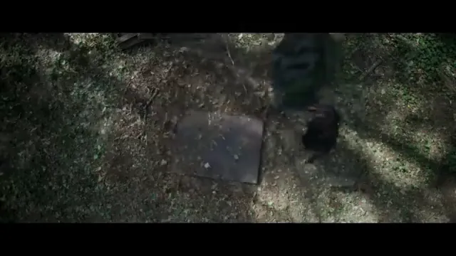 Inheritance Scene 2