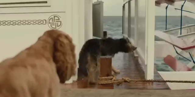 Lady and the Tramp Scene 4