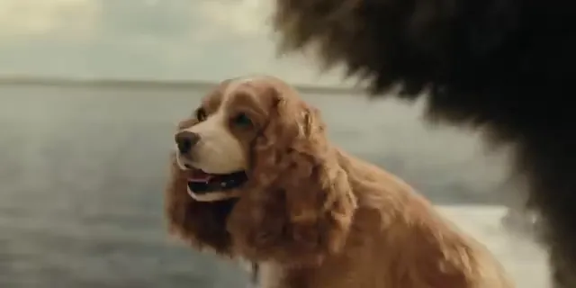 Lady and the Tramp Scene 5