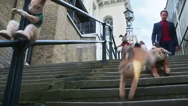 Peter Rabbit 2: The Runaway Scene 3
