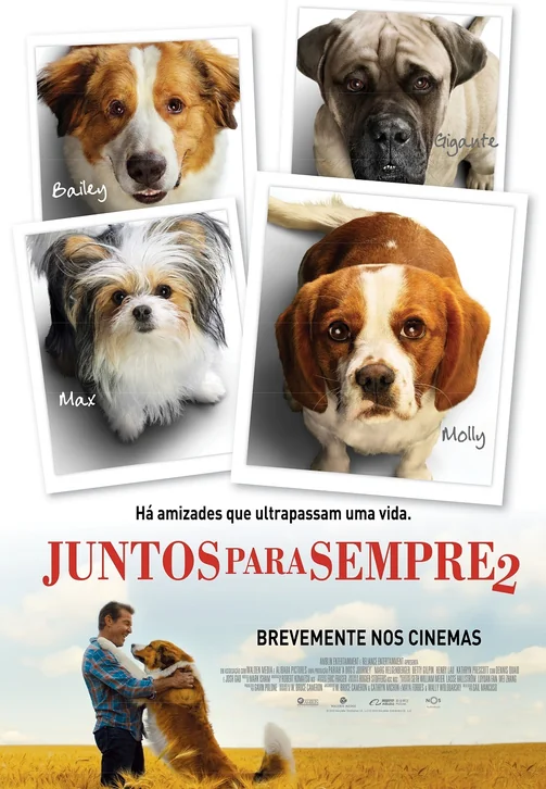 A Dog's Journey Movie Poster