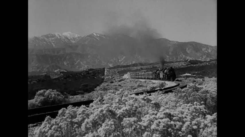 After the Thin Man Scene 3