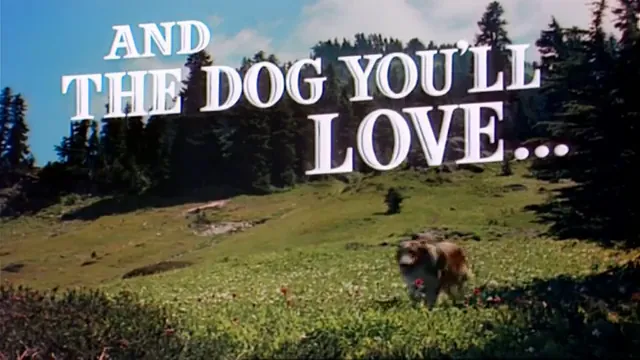 Lassie Come Home Scene 5