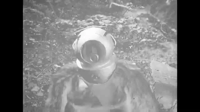 Robot Monster Scene 1