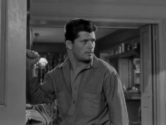 The Desperate Hours Scene 3