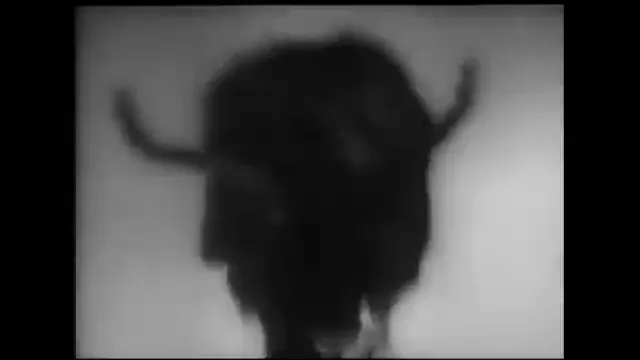 The Wasp Woman Scene 5