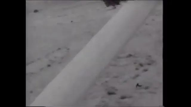 The Beast of Yucca Flats Scene 3