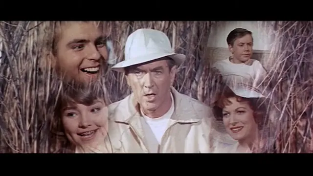 Mr. Hobbs Takes a Vacation Scene 5