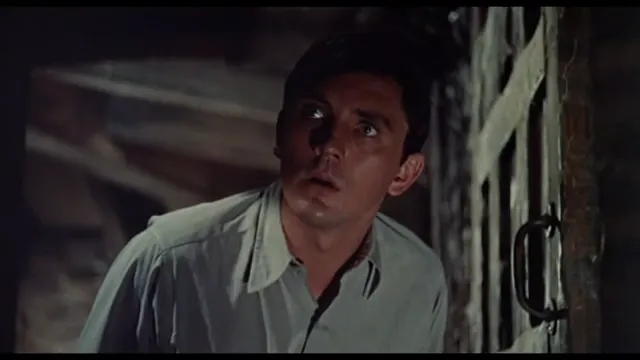 The Collector Scene 4
