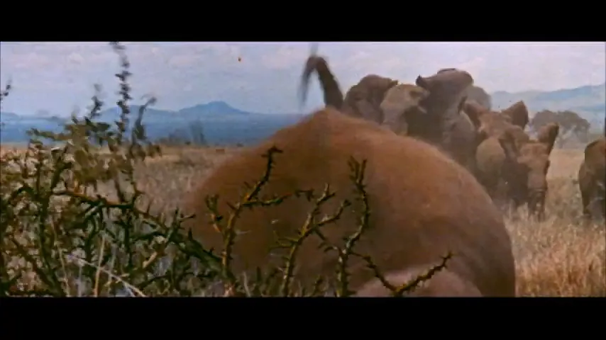 The Naked Prey Scene 1