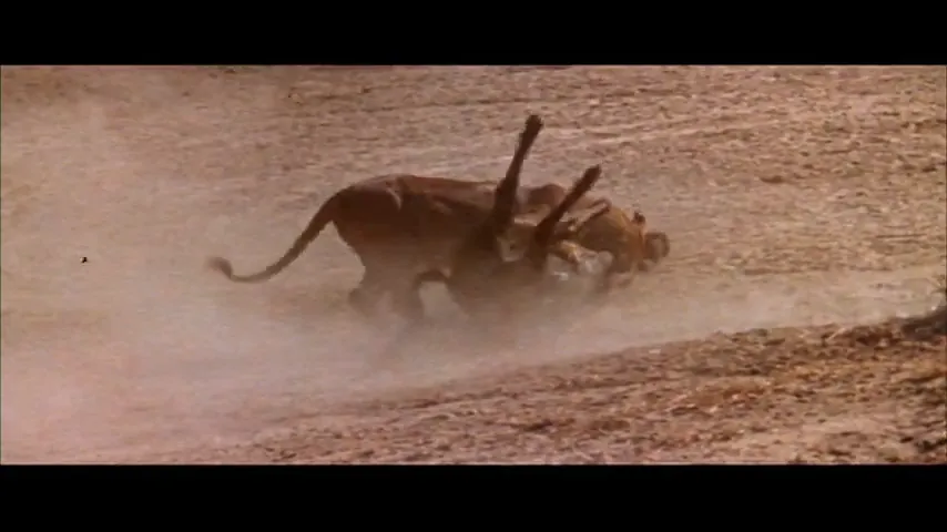 The Naked Prey Scene 5