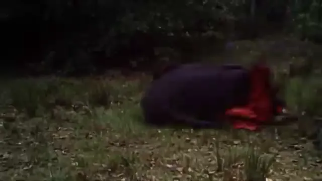 Dracula Has Risen from the Grave Scene 2