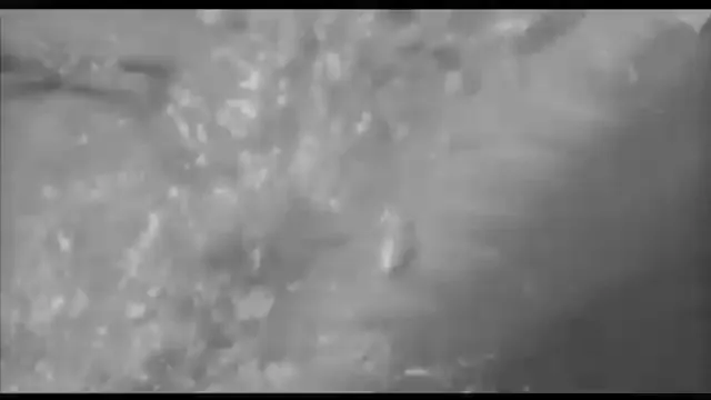 The Honeymoon Killers Scene 4