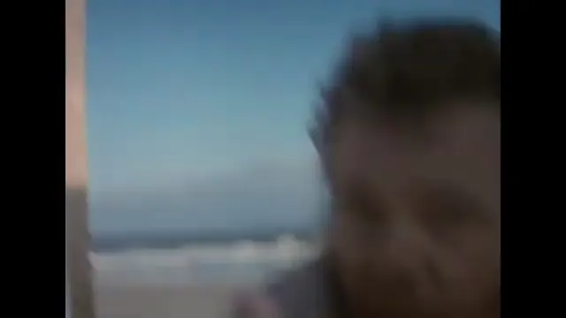 Gator Scene 1