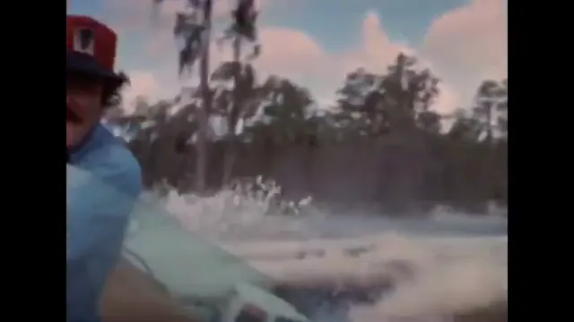Gator Scene 5